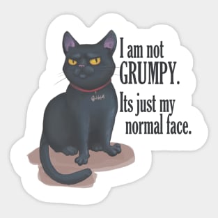 cat with groompy face Sticker